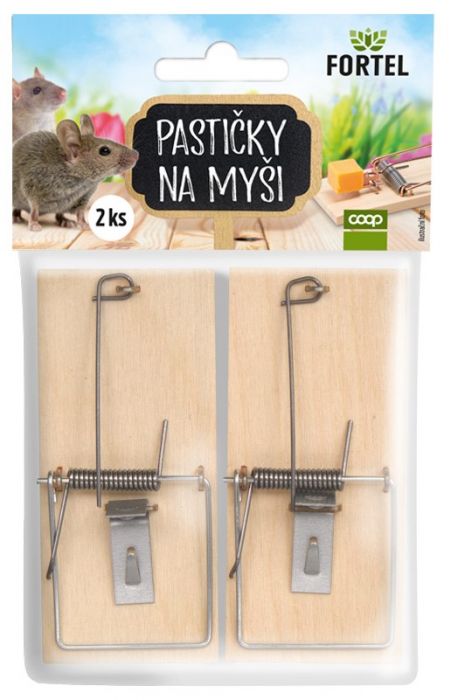 Pasti Na Mysi